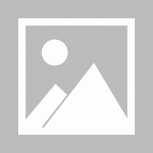 2025考研招生简章：沈阳农业大学2025年硕士研究生招生章程
